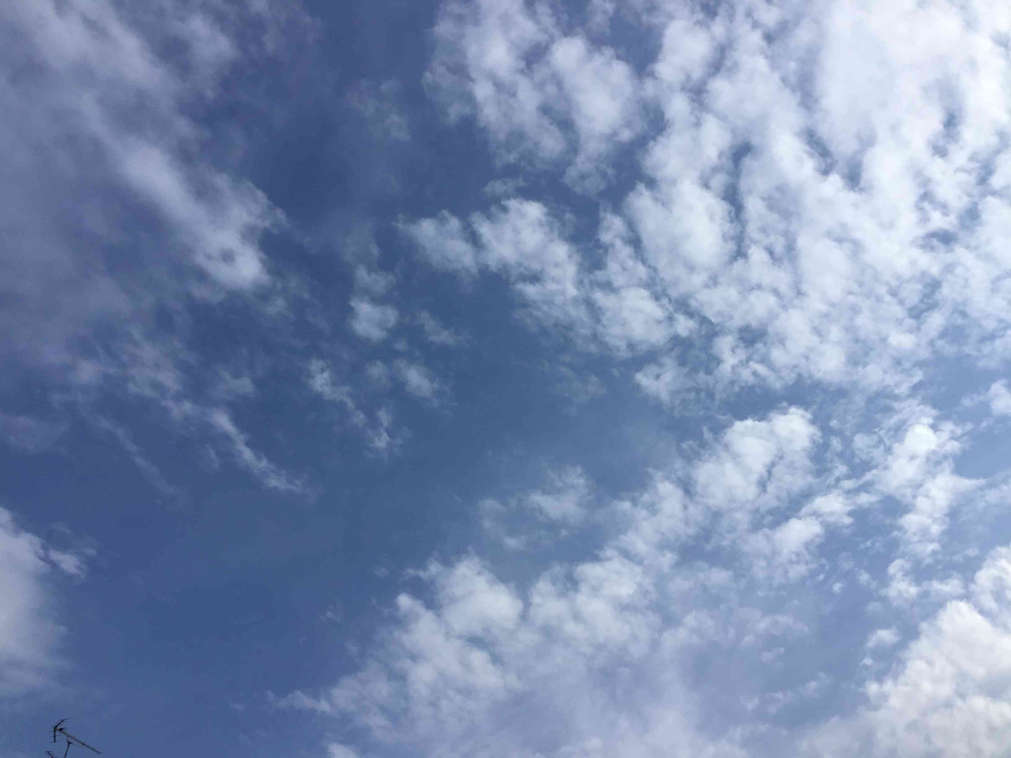 伏見稲荷から見上げた青空